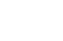 accesicon
